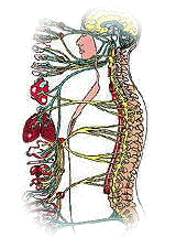 �����_�o�n